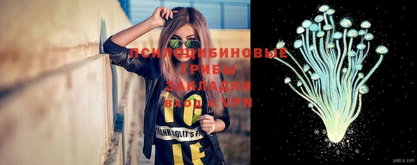 не бодяженный Алексин