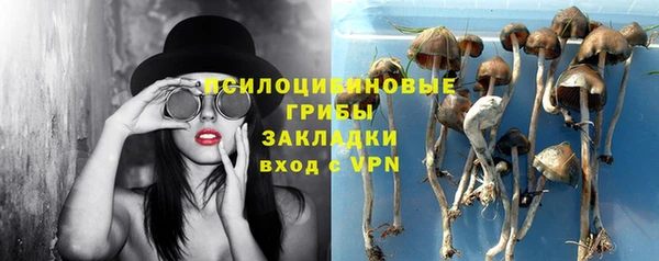 метамфетамин Алексеевка