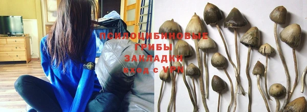 бутират Алзамай