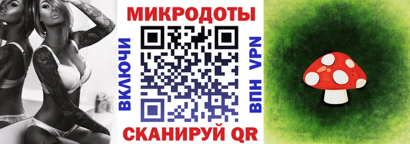 Галлюциногенные грибы Psilocybe  Шацк 